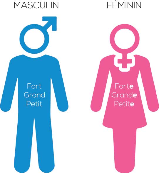 masculin-féminin